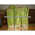 Asparagus Seeds for planting